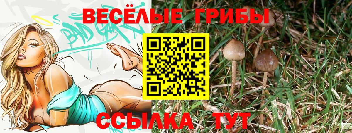 Псилоцибиновые грибы Psilocybine cubensis  Вход с VPN  Лосино-Петровский 