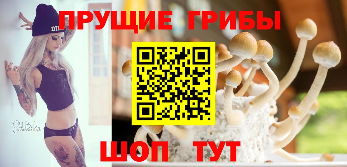 Галлюциногенные грибы ЛСД Лосино-Петровский